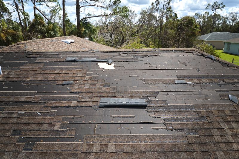 Emergency Roof Repair